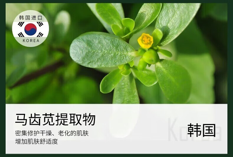 BEAUTY NOTES护肤品套装水乳小样精华液眼霜礼盒海蓝小绿瓶情人节圣诞生日礼物