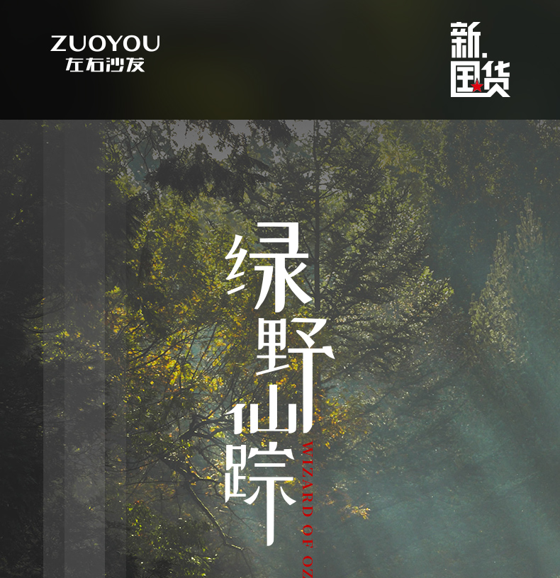 左右沙发 布艺沙发客厅现代简约轻奢科技布沙发小户型客厅沙发DZY5103 转二件反向+休单【0281068翠涛绿】