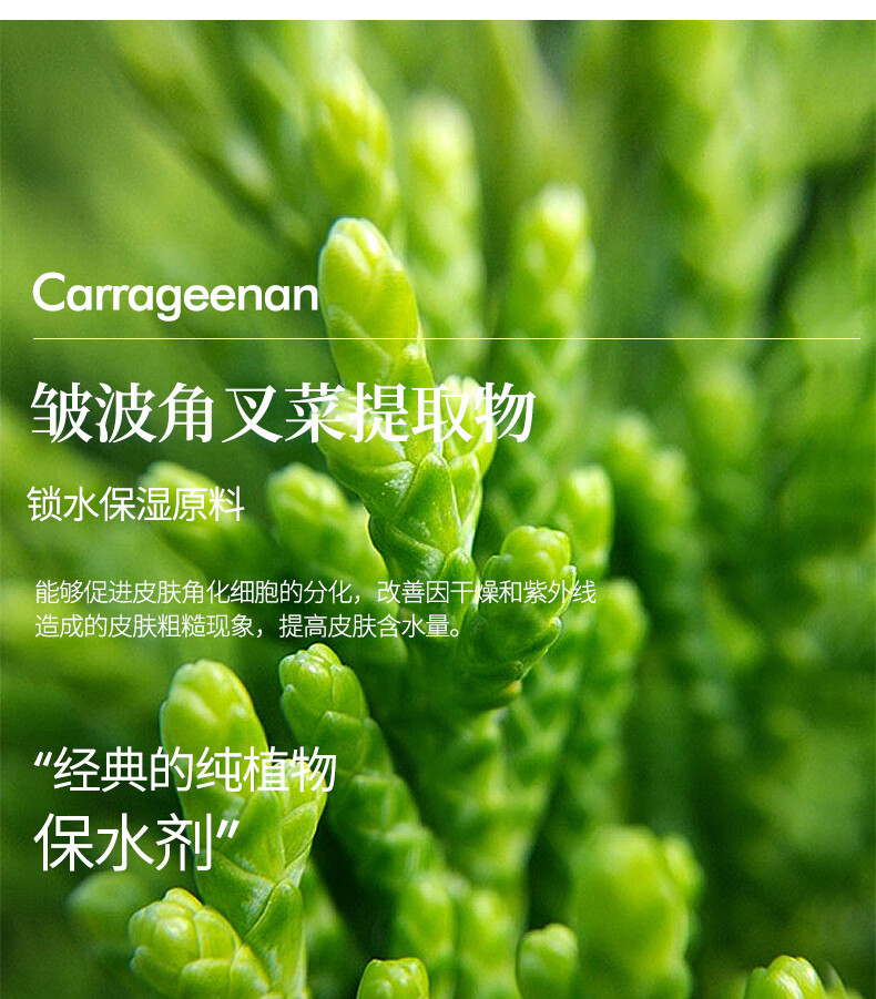 媓钻 玻尿酸海藻舒缓补水面膜 8D保湿滋润提亮肤色敏感肌孕妇可用 【体验装】一片