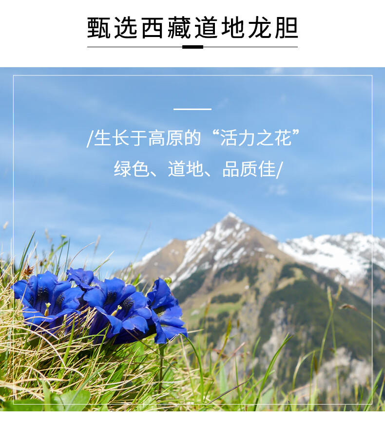 相宜本草龙胆安心护唇精华蜜10.8g（润唇膏 保湿修护 舒缓）