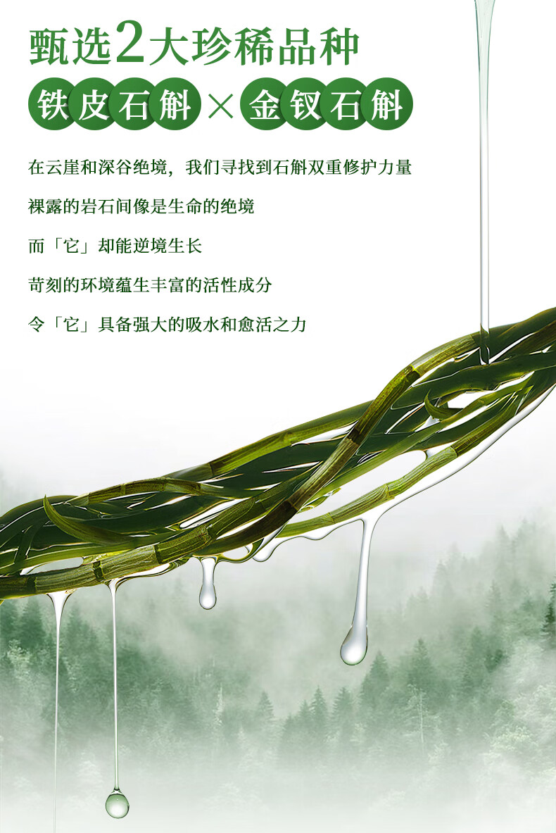 美肤宝仙草石斛3件套装(洁100g水100g乳液100g)舒缓修护水油平衡护肤品