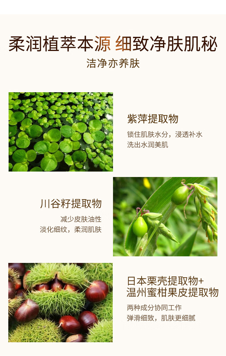 雪花秀顺行柔和洁颜泡沫 50ml*1支 中小样，介意慎拍 面部清洁洗面奶