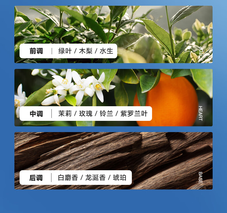 海洋至尊洗面奶水能水乳套装 洁面乳补水保湿控油爽肤水ZSEA 120g+100ml*2