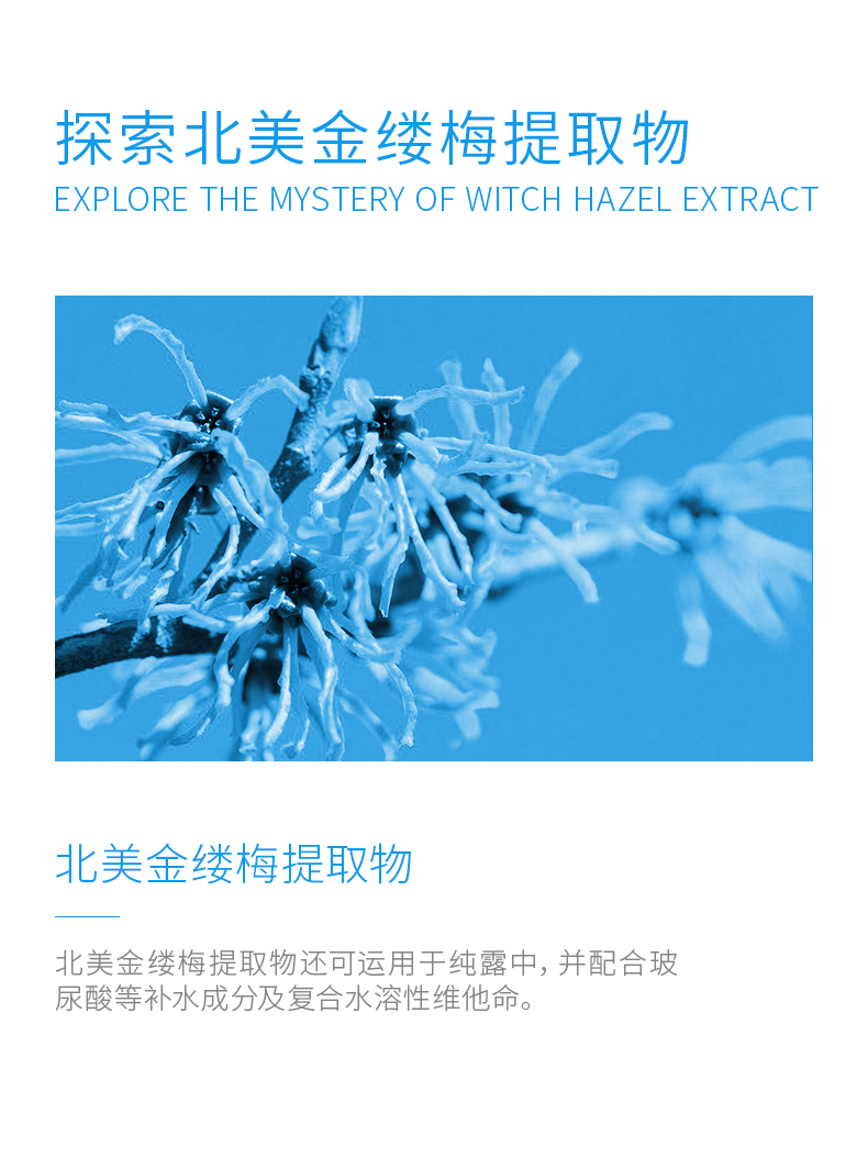 WIS爽肤水  悦享水润精华水 140ml （ 补水保湿控油平衡细致毛孔）