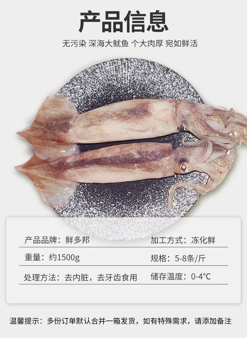 鲜多邦 国产渤海湾鱿鱼约5-8条  散装1500g 火锅烧烤食材 冻化鲜海鲜水产