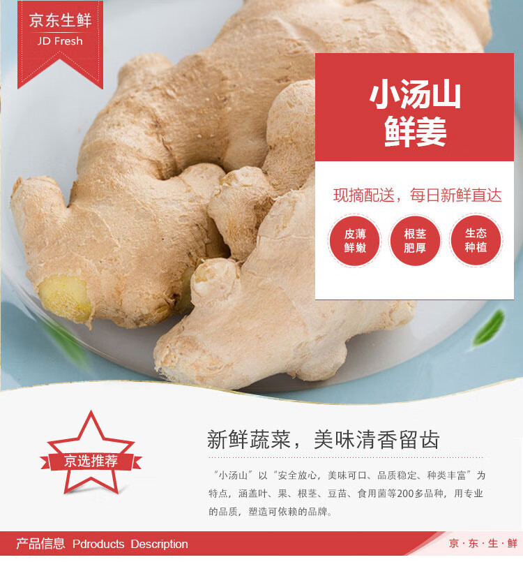 小汤山鲜姜基地直供新鲜蔬菜
