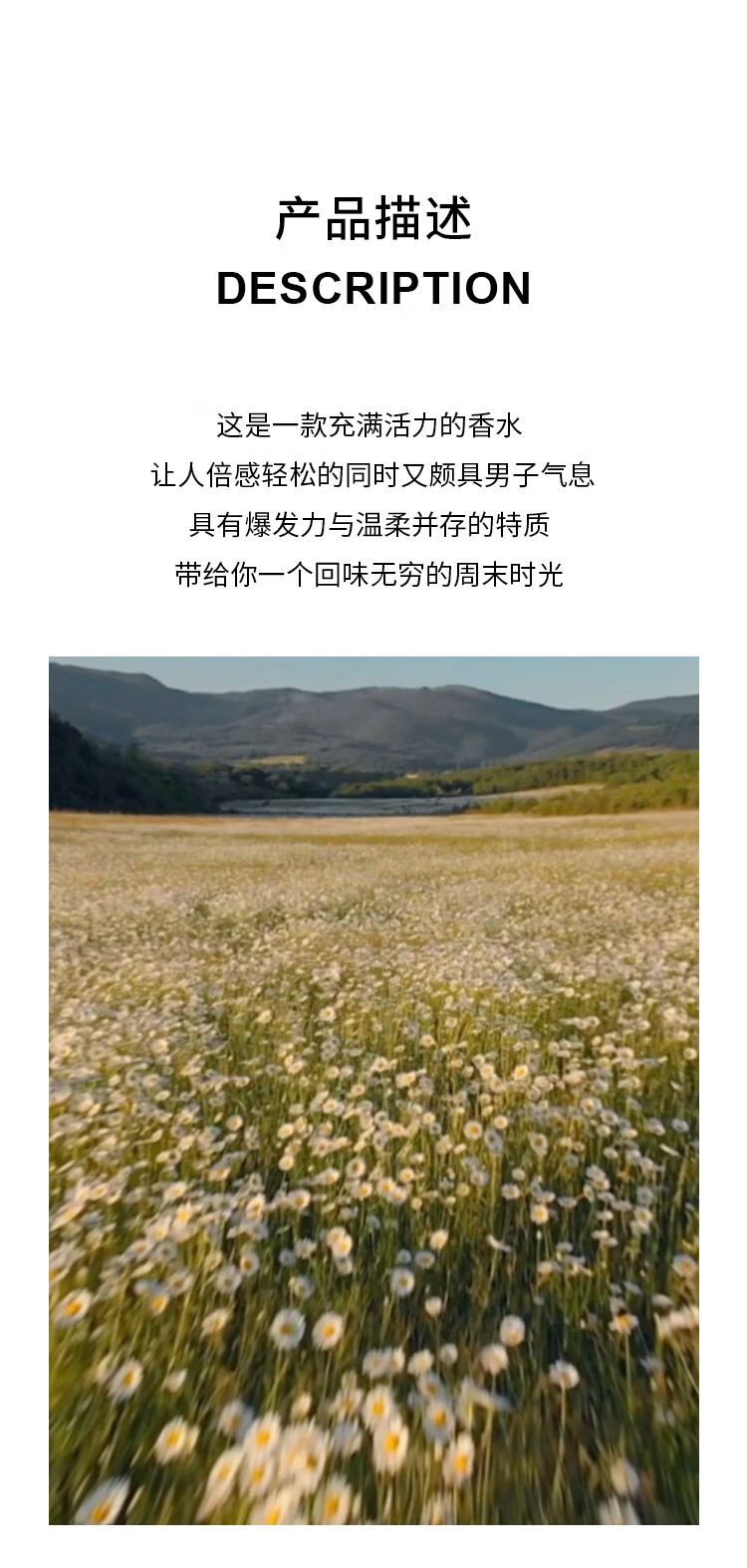 博柏利（BURBERRY）周末男士淡香水 30ml  节日礼物生日礼物 送男友香水男