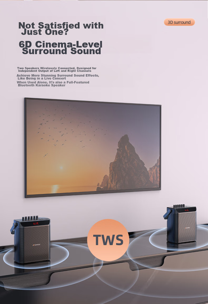 Портативная колонка SANSUI E76, 25 Вт, Bluetooth 5.0, с двумя беспроводными микрофонами, для караоке, вечеринок и выступлений