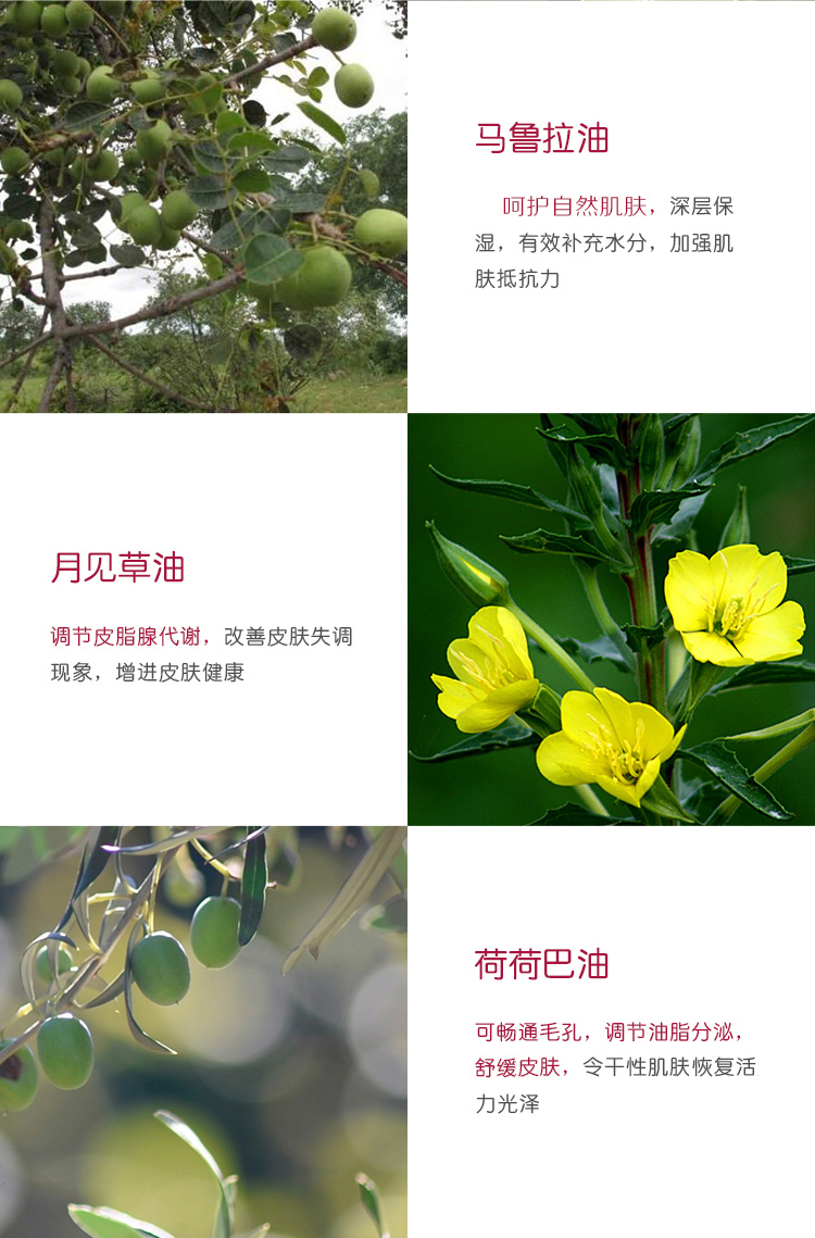 趣乐活 萃乐活（trilogy）活力保湿霜20ml 面霜补水男女士化妆品护肤品
