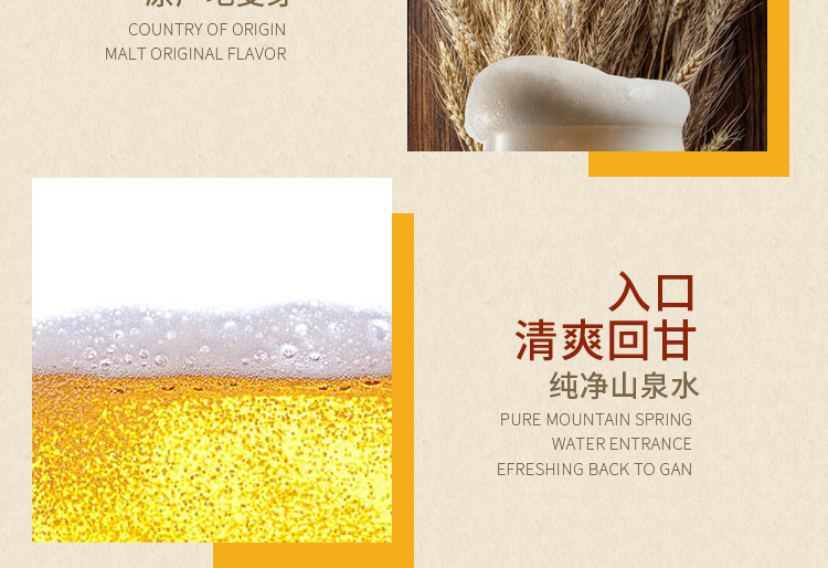 捷克进口 布鲁杰克(Brouczech)黑啤酒5L桶装-