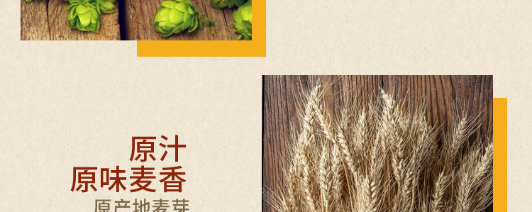 捷克进口 布鲁杰克(Brouczech)黑啤酒5L桶装-
