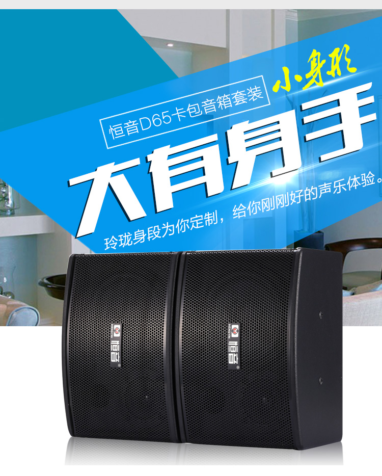 恒音（HENGYIN）D65家庭KTV音响 6.5寸重低音家...-京东