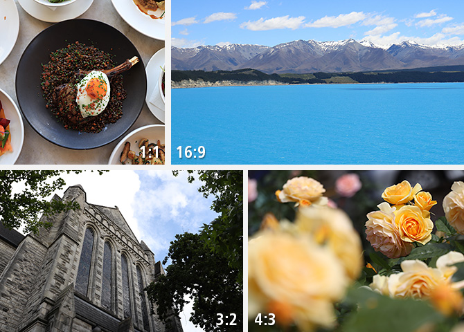 佳能(Canon)EOS 77D 单反机身-
