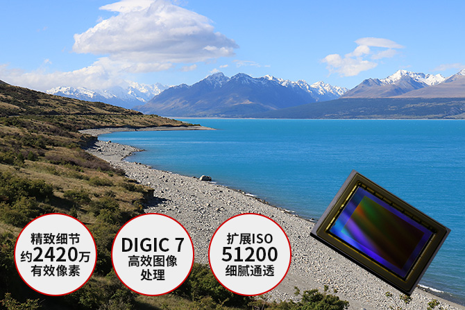 佳能(Canon)EOS 77D 单反机身-