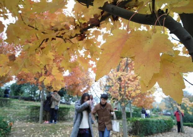 OPPOR7s能够满足你众多期待