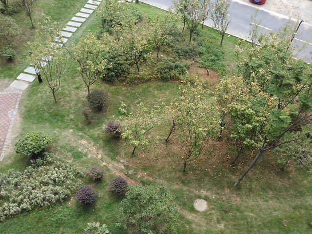 坚果手机青年人手机的上上品 坚果手机青年人手机的上上品