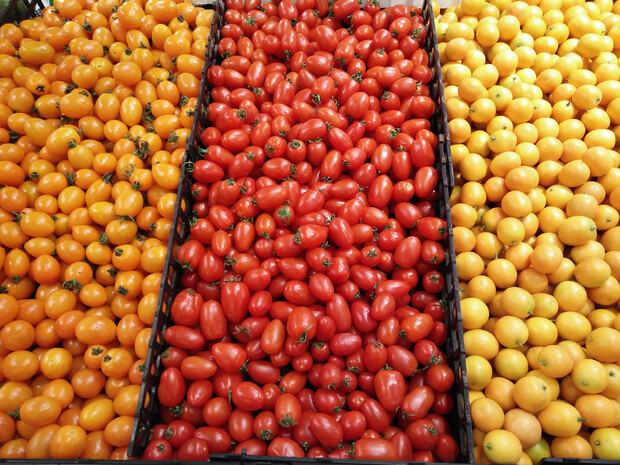 OPPOR7s能够满足你众多期待