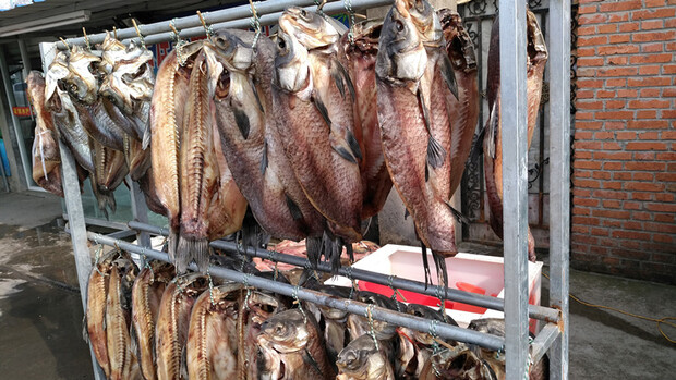 精雕细琢源自德国血统的传承,GigasetMEpro手机体验 精雕细琢源自德国血统的传承,GigasetMEpro手机体验