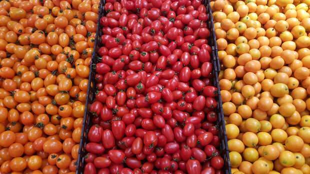 OPPOR7s能够满足你众多期待