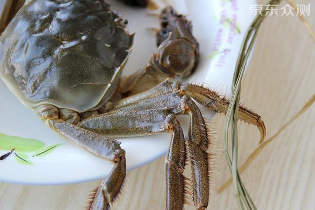 又到吃螃蟹的季节,京东众筹玩的有意思、玩出