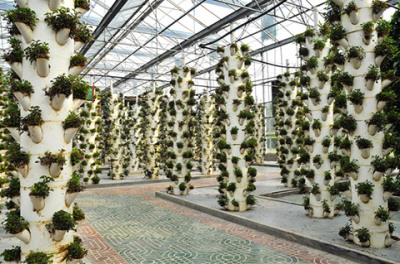 49元光明农场个人门票 - 深圳团购网|京东团购