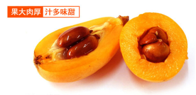 果农小屋水果组合49.9 - 京品惠长沙站