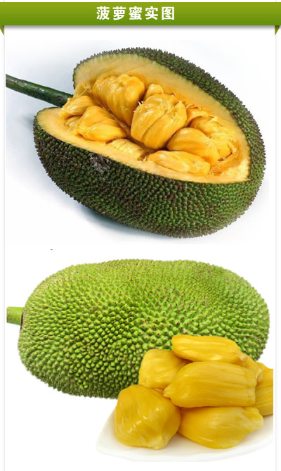泰国菠萝蜜 - 京品惠全国站