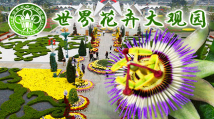 界花卉大观园儿童票!国家AAAA级旅游景区,京