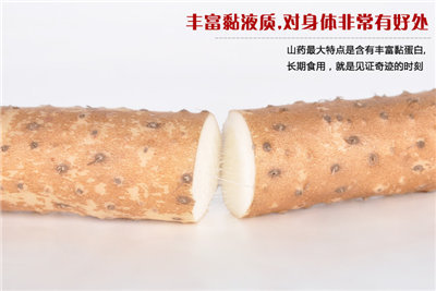 【焦作温县正宗铁棍山药团购价格品质】价格,