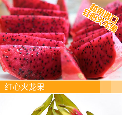 越南红心火龙果 - 京品惠全国站