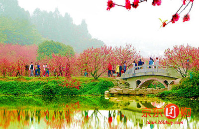 佛山南海枫丹白鹭酒店-豪 团购 - 京东团购佛山