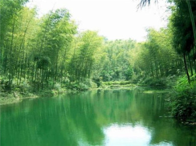 南山门票性价比 三亚南山寺门票 素斋质量好推