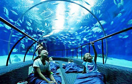 上海海洋水族馆+外滩观光隧道+3D魔幻趣味馆