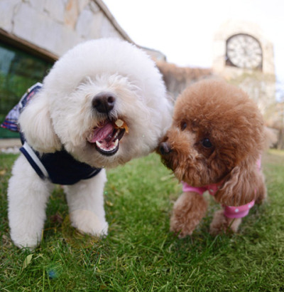 修指甲美容套餐 电脑壁纸0.01元套餐