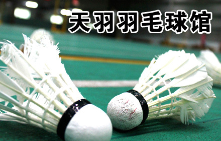 天羽羽毛球馆羽毛球欢打1小时,不限人数,节假