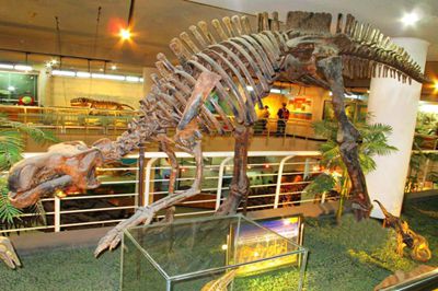 中国古动物博物馆