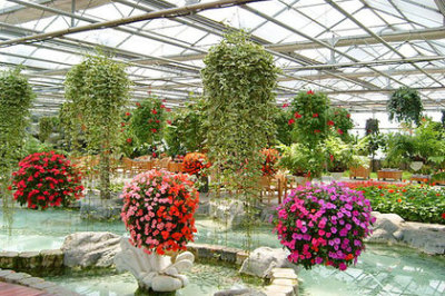 北京花乡世界花卉大观园(