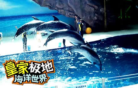 东北哈尔滨正规靠谱旅行社排名 2026 纯玩无隐形消费 冰雪大世界雪乡小众游好评指南
