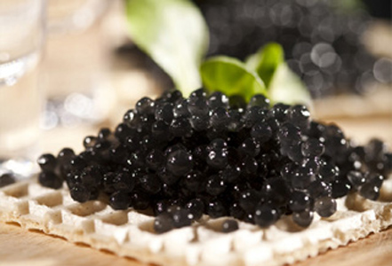 北京莫斯科机票 团购 - 京东团购全国站