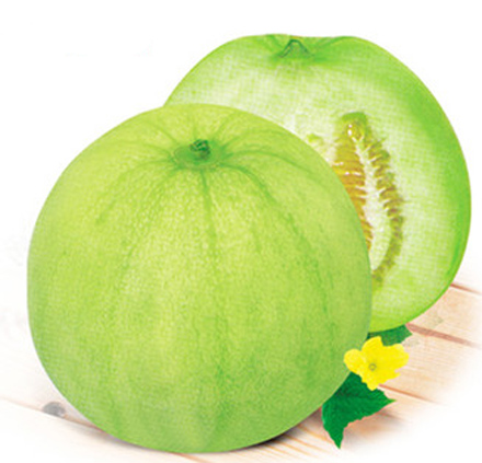 吊秧香瓜 - 京品惠全国站