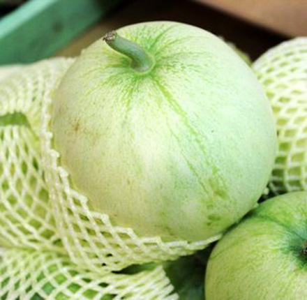 吊秧香瓜 - 京品惠全国站