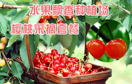 仅68元，即享原价196元水果飘香种植场樱桃采摘套餐：樱桃采摘1次/人（2斤），红灯、拉宾斯、黄蜜（品种任意采摘），采摘时间90分钟，香飘千里，浓情一处。