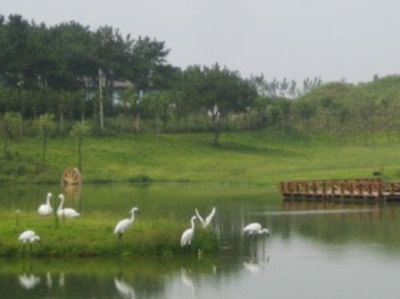 武汉木兰草原景区自驾一日 - 武汉团购网|京东团