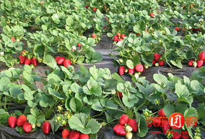 北京热带雨林风情园 - 北京酒店团购|京东团购