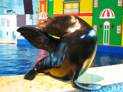 长风公园海洋世界家庭套票 - 上海团购网|京东团