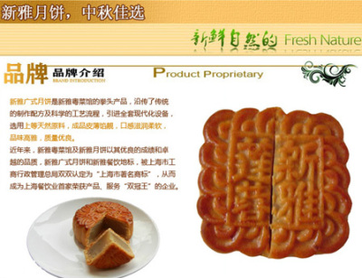 新雅月饼特色铁盒 - 上海团购网|京东团购