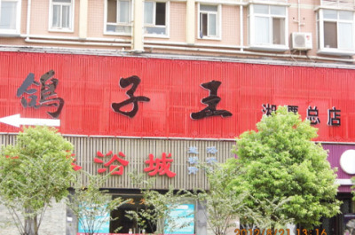 鸽子王仅169元 - 湘潭团购网|京东团购