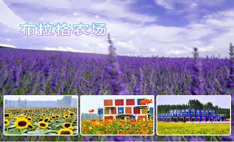 全国仅25元!通州布拉格农场单人通票(需预约)!原价40元!
