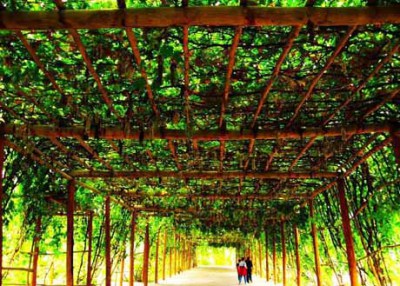 鄯库吐鲁盐湖2日游 - 乌鲁木齐团购网|京东团购