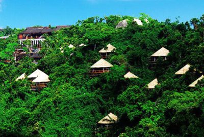 森林公园呀诺达游玩一